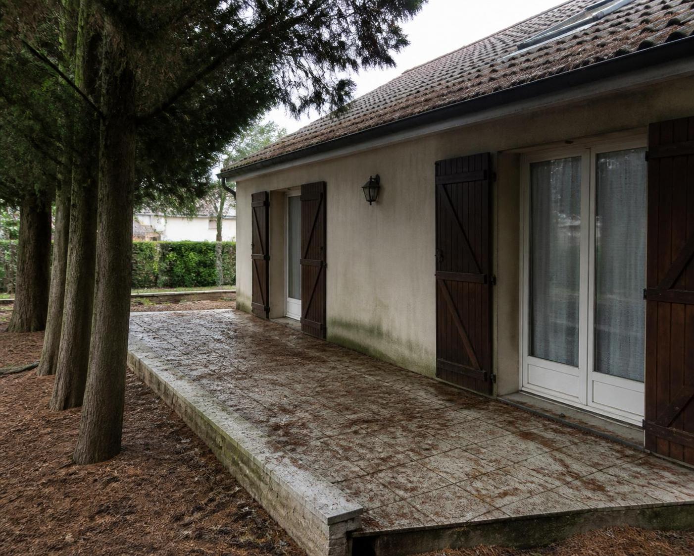 découvrez les véritables inconvénients de planter des cyprès près de votre maison et comment éviter les problèmes courants liés à leur proximité.